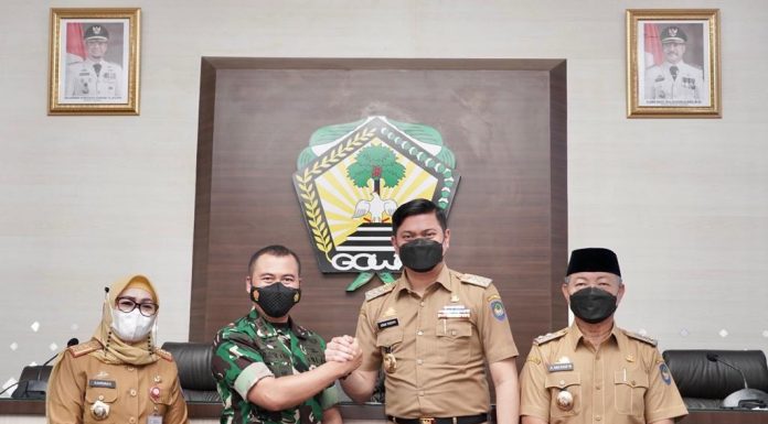 Pemkab Gowa Gandeng Kodim 1409 Remajakan Pohon Pelindung Untuk Ciptakan Ruang Terbuka Hijau
