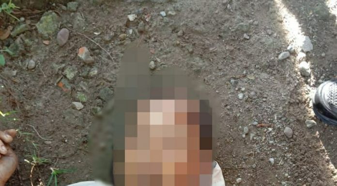 Mayat Ditemukan Terbujur Kaku, Gegara Panjat Pohon Mangga Langsung Terjatuh dan Tewas Ditempat