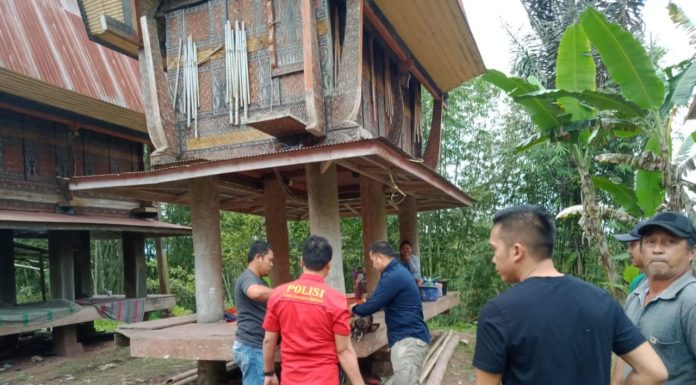 Polres Torut Grebek Dua Lokasi Judi Sabung Ayam, Sepuluh Ekor Ayam dan Taji Diamankan Sebagai Barang Bukti