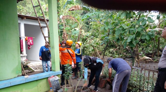 Puluhan Tagana Cekatan Perbaiki Bangunan Rusak Usai Bencana Angin Kencang di Desa Sidomulyo Wonosari