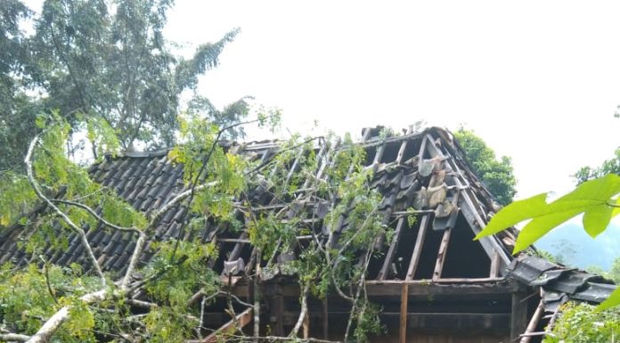 Rumah Janda Miskin di Pacitan Hancur Ketimpa Pohon Tumbang