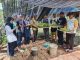 Dalam Rangka Tekan Laju Inflasi Pemerintah Desa Barabatu Pangkep Salurkan Ribuan Bibit Lombok Cabe