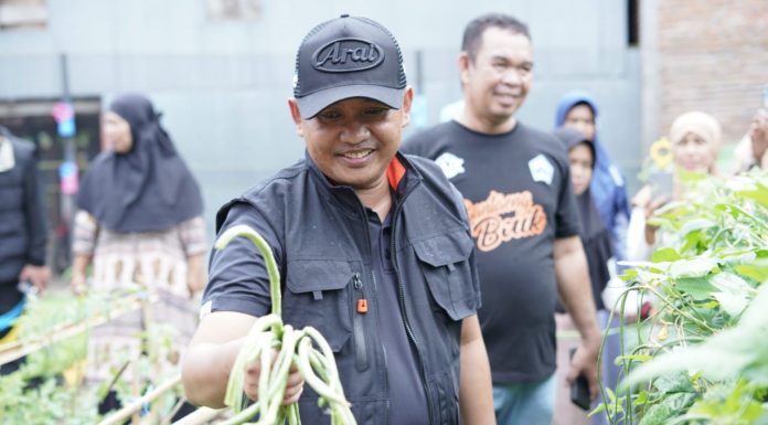 Bupati Dr. Ilham Azikin Kunjungi KWT, Ibu-ibu Sampaikan Tingginya Permintaan Sayur Organik