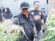 Bupati Dr. Ilham Azikin Kunjungi KWT, Ibu-ibu Sampaikan Tingginya Permintaan Sayur Organik