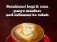 Kopi Susu Memiliki Efek Anti Inflamasi yang Baik Bagi Kesehatan