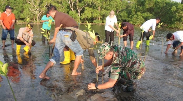 Kodim 1421/Pangkep Tanam Seribu Mangrove di Pesisir Pantai Kampung Mandalle Pangkep