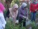 Indira Yusuf Ismail Bersama PJ Ketua TP PKK Provinsi Sulsel, Panen Sayur di Lorong PKK Makassar