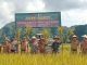 Dandim 1421/Pangkep Dukung Program Ketahanan Pangan Nasional Laksanakan Panen Raya Padi