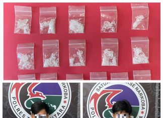 Gegara Kuasai 15 Gram Sabu, 2 Pria Diamankan Satresnarkoba Polres Toraja Utara