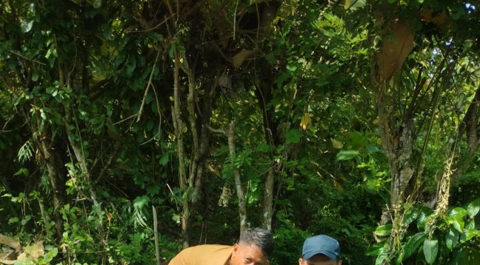 Peringati Hari Bumi 2024, Pemdes Libureng Bersama KKN STAI Al Gazali Barru Tanam Pohon Ketapang