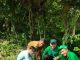 Peringati Hari Bumi 2024, Pemdes Libureng Bersama KKN STAI Al Gazali Barru Tanam Pohon Ketapang