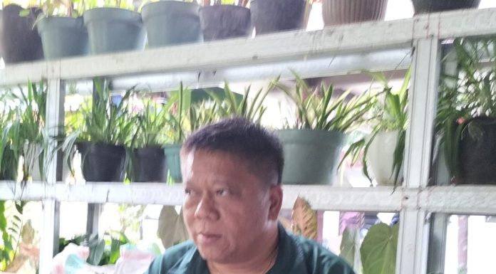 Pither Ponda, SH MH Menilai Gugatan Perdata Thomas Deston Hanya Akal-akalan Saja