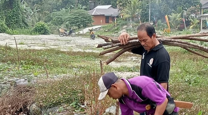 Semarak HUT Kemerdekaan RI ke-79, Masyarakat Desa Baloli Masamba Giat Gerakan Bersih-bersih dan Hijau