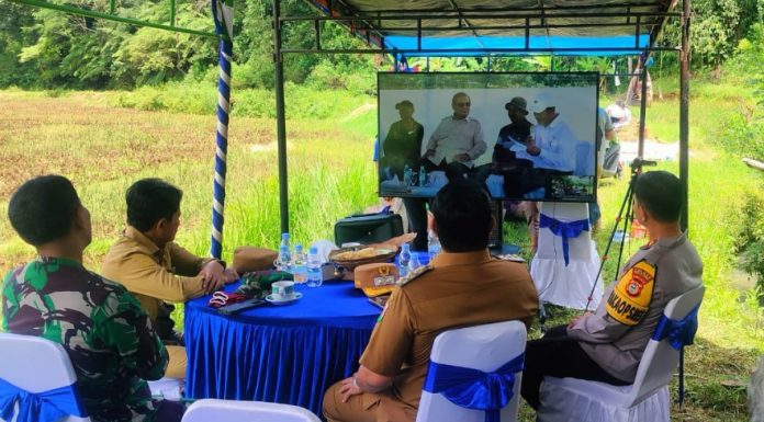 Dukung Ketahanan Pangan, Forkopimda Torut Hadiri Panen Raya Padi Serentak, Zoom Meeting Langsung Bersama Presiden Prabowo