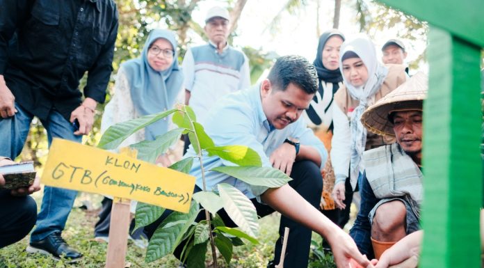 Produksi Kakao Siap Meningkat, Bupati Uji Nurdin Gandeng Fakultas Pertanian UNHAS Dampingi Petani Bantaeng