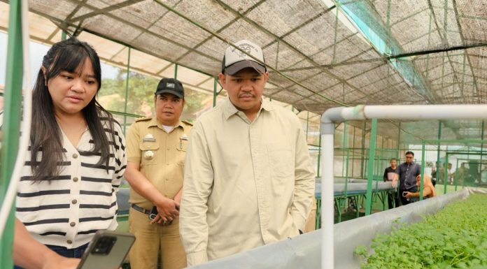 Bupati Uji Nurdin Tinjau Proses Kultur Jaringan, Bantaeng Siap Jadi Daerah Penghasil Benih Kentang