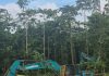 DPRD Luwu Utara Temukan Sejumlah Kejanggalan Proyek Cetak Sawah, Husain: Akan Dibahas di Tingkat Provinsi