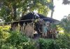 Gubuk Reot Dapur Pembuatan Gula Merah: Nasib Miris Perajin Gula Tuak Lontar, Pak Agus di Lingkungan Bungkeke, Dinas Koperasi dan UKM Jeneponto, Di Mana?