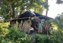 Gubuk Reot Dapur Pembuatan Gula Merah: Nasib Miris Perajin Gula Tuak Lontar, Pak Agus di Lingkungan Bungkeke, Dinas Koperasi dan UKM Jeneponto, Di Mana?
