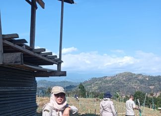 Penyuluh BPP Alla Intensif Dampingi Kelompok Tani Terapkan Pemupukan Berimbang pada Tanaman Bawang Merah