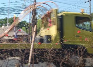 Kota Makassar Lumpuh, Walikota APPI Dinilai Gagal Menertibkan Truck 10 Roda Dan Bus Antar Kota Yang Parkir Dibadan Jalan?