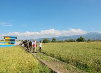 Pertanian Bantaeng Tetap Tumbuh 1,97 Persen di Tengah Tekanan Kemarau