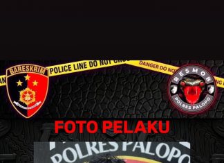 Pelaku Curanmor Suzuki Nex Terungkap, Langsung Diamankan di Wilayah Polsek Sukamaju Luwu Utara