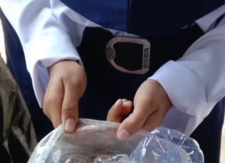 Siswa-siswi SMP Negeri 4 Anggeraja Tumbuhkan Kepedulian Lingkungan melalui Gerakan Pilah Sampah Plastik
